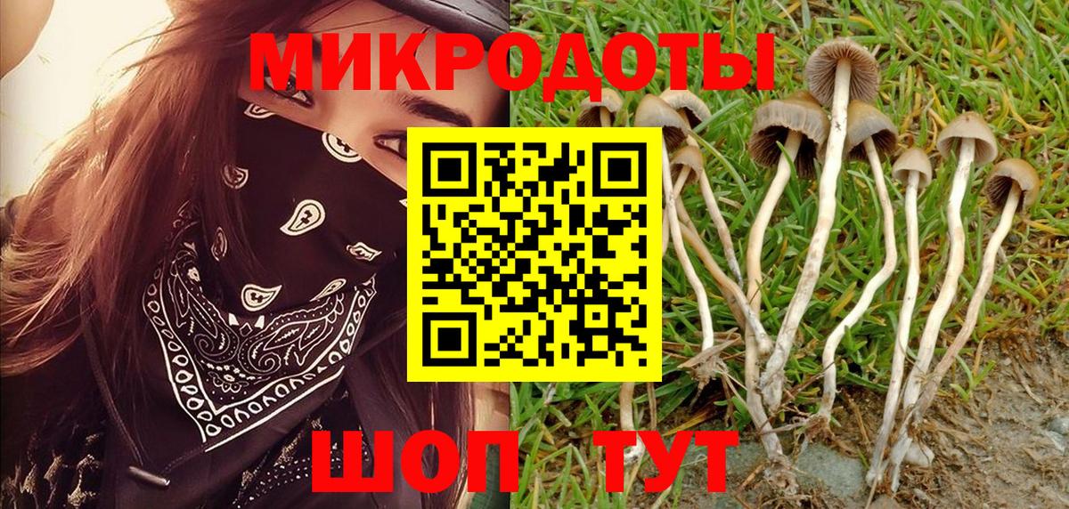 Галлюциногенные грибы MAGIC MUSHROOMS  Вход с VPN  Псилоцибиновые грибы Psilocybine cubensis  Углич 